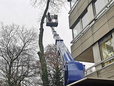 Baumfällung mit der Hebebühne