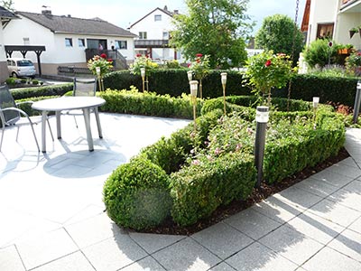 Beeteinfassung Bux oder Ilex
