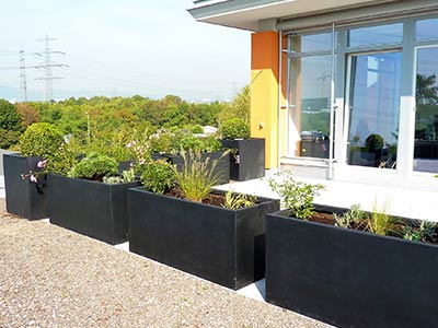 Bepflanzung von Dachterrassen