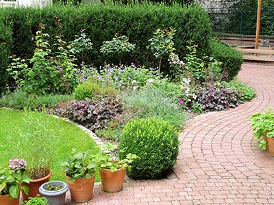 Staudenbeet mit Rosen