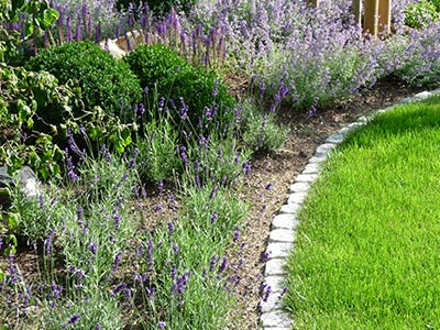 Raseneinfassung Granit