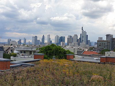 Dachgarten Skyline Frankfurt