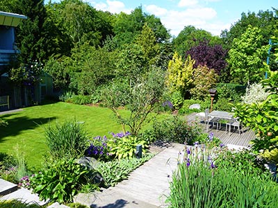 Pflege Staudengarten