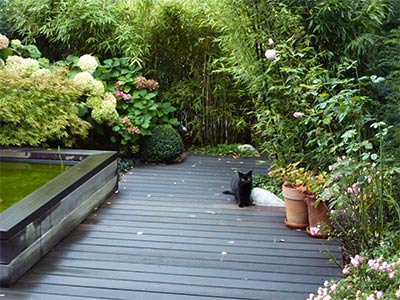 Terrasse mit Wasserbecken Holz