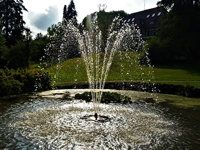 Gartenteich mit Wasserfontäne