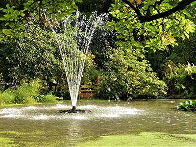 Wasserspiel mit Oase Fontäne