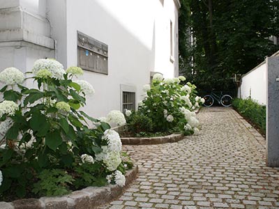 Weg und Einfassung aus Muschelkalk Pflaster